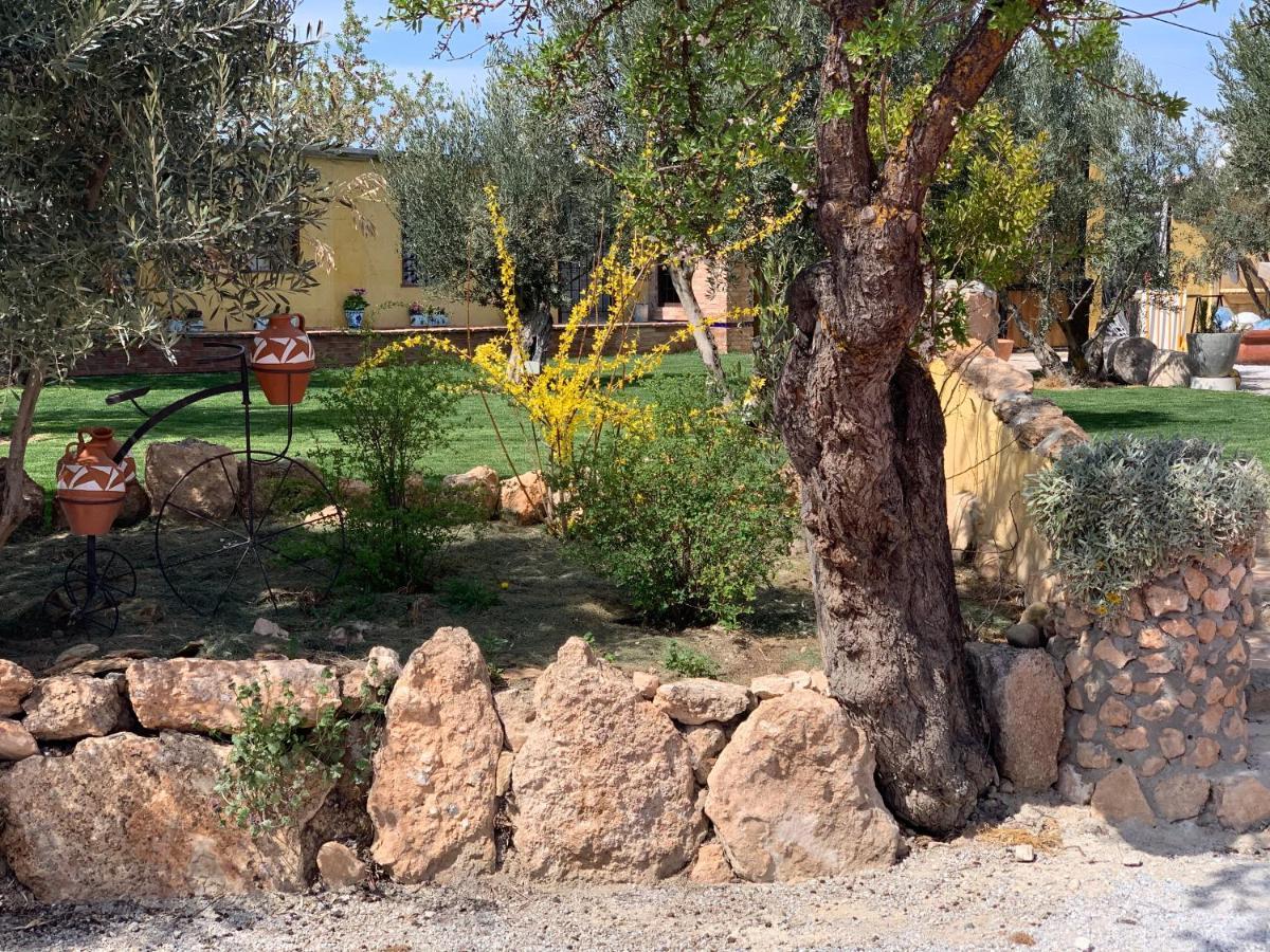 Cortijo Bustamante Pension Baza Buitenkant foto