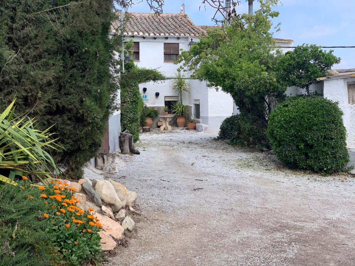 Cortijo Bustamante Pension Baza Buitenkant foto